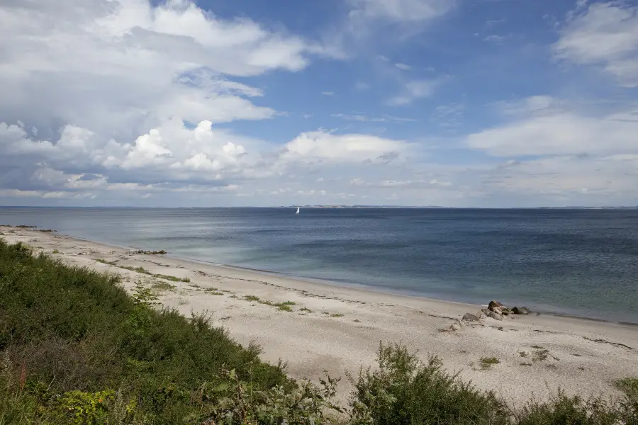 Moesgård strand