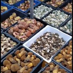 抚海湾石锅鱼·野生菌·猪肚包鸡(三十六年店) User Photo