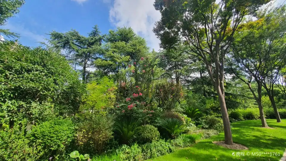 미래섬공원 주변 호텔