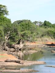 Grumeti River