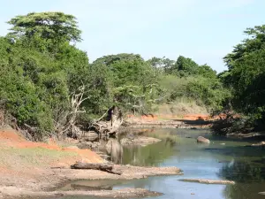 Il fiume Grumeti