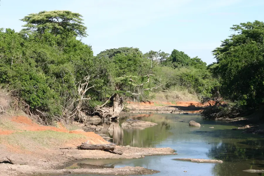 Grumeti River