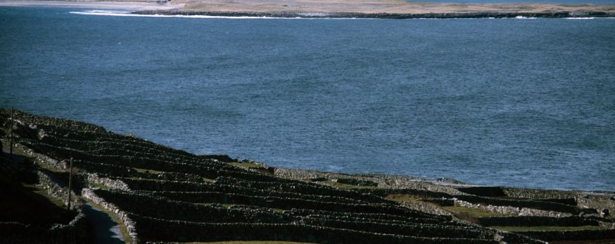Carrownlisheen
