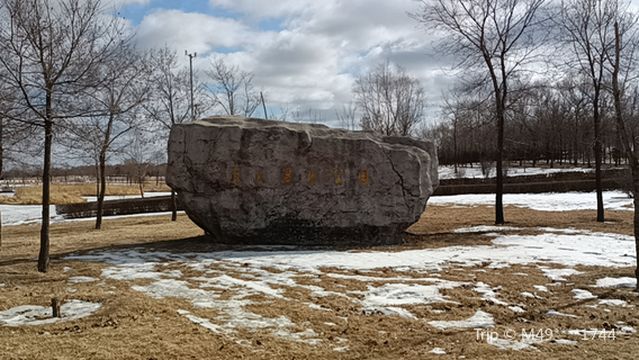 Longfeng National Wetland Park