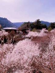 太原杜兒坪桃花溝