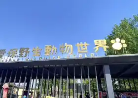 愛保中華大熊貓苑