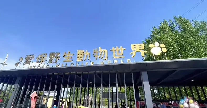愛保中華大熊貓苑