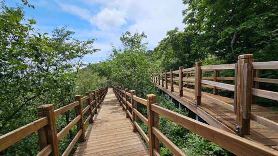 Balwangsan Skywalk