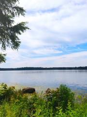 Daugava River