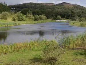 Colin Glen River Entrance