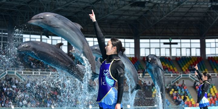 アドベンチャーワールド