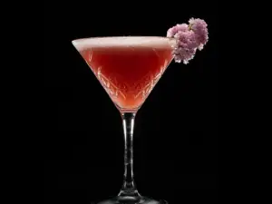 Top 10 Bars in Phan Thiet