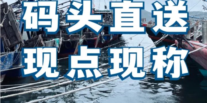 紅沙大排檔·不踩雷海鮮（清水灣東榕環球美食店）