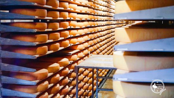 La Maison du Gruyere a Pringy