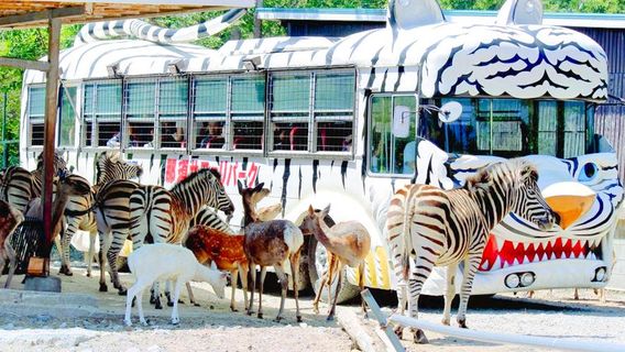 Nasu Safari Park