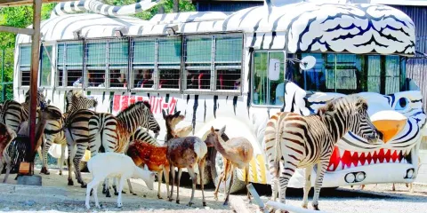 那須野生動物園