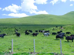 Animaqing Mountain National Geopark
