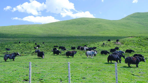 Animaqing Mountain National Geopark