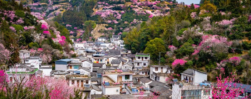 Flower-selling Fish-shaped Village