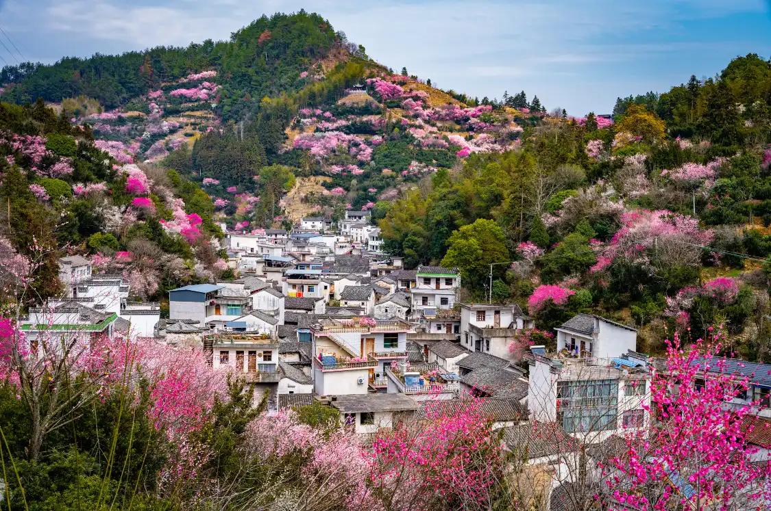 賣花漁村附近的飯店