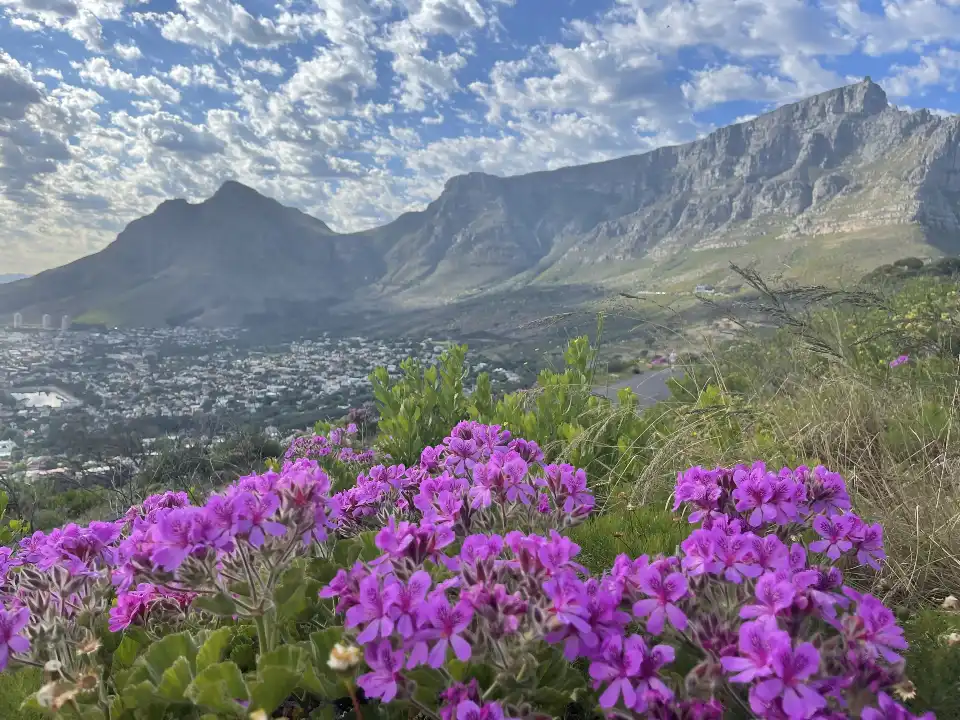 4_Table Mountain