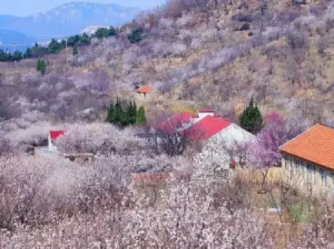 Zhushan National Forest Park