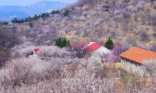 Zhushan National Forest Park
