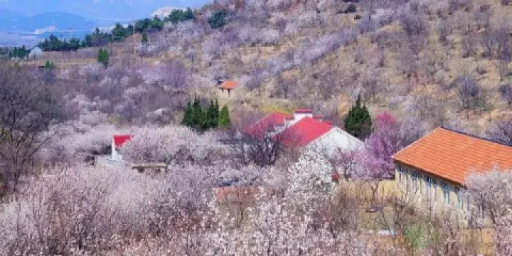 珠山國家森林公園