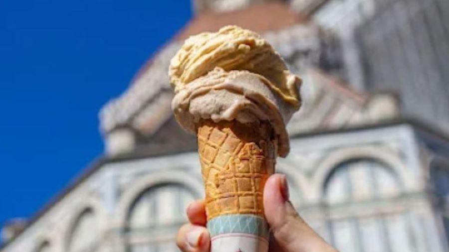 Edoardo il gelato biologico