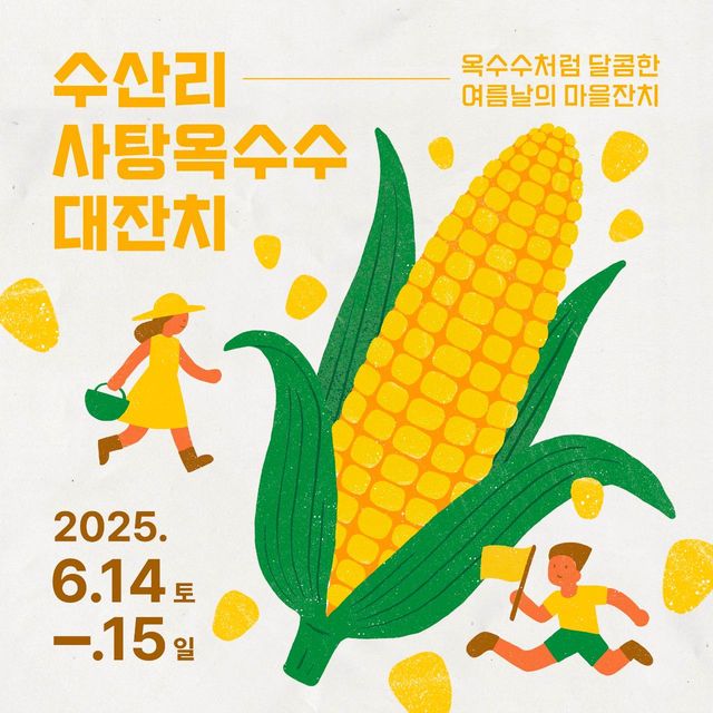 수산리 사탕옥수수 대잔치 | 제주