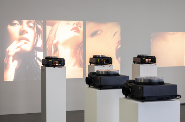 瑪麗亞·哈南坎普個展 | 美景宮