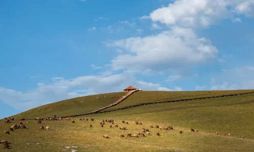 Aktas Grassland