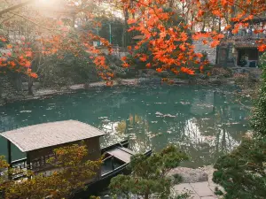 Yongquan Town