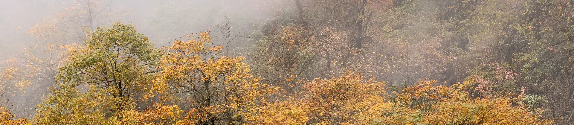 Attrazioni per la visione autunnale