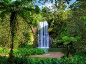 Millaa Millaa Falls