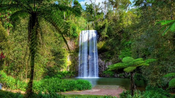 Millaa Millaa Falls