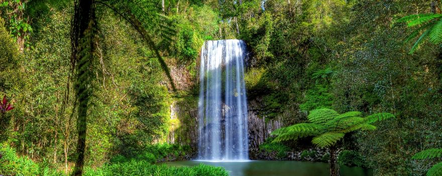 Millaa Millaa Falls