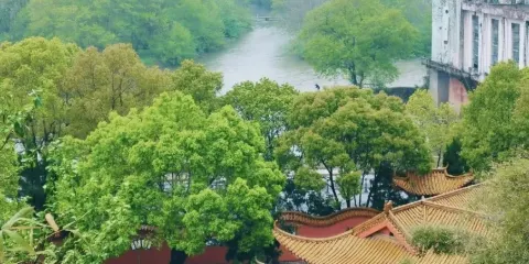 酌江風景區