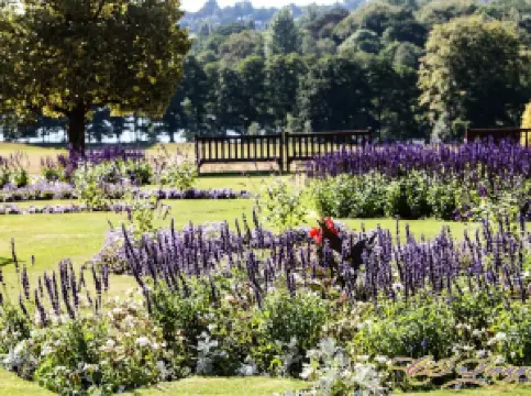 Wollaton Hall, Gardens and Deer Park