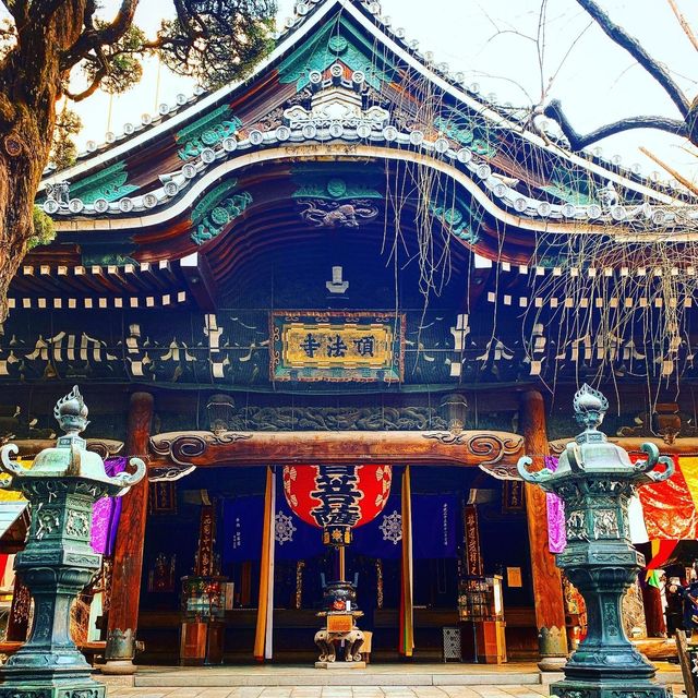 京都　いけばな発祥の地