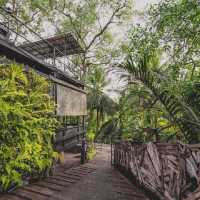 Bangkok Tree House