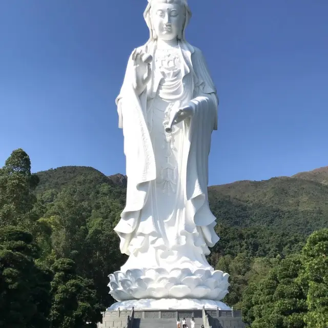 大埔慈善寺|莊嚴佛教聖地，行山好去處