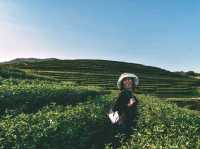 จุดชมวิวไร่ชาบุญรอด จ.เชียงราย
