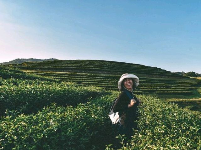 จุดชมวิวไร่ชาบุญรอด จ.เชียงราย
