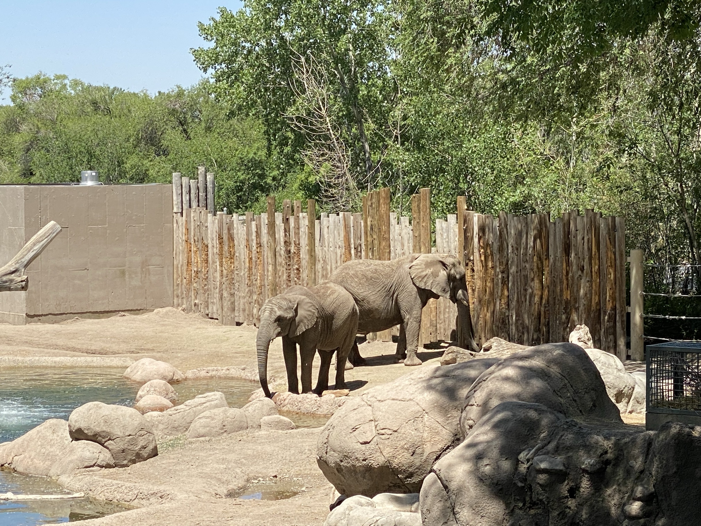 ホーグル動物園のレビュー ホーグル動物園のチケット ホーグル動物園の割引 ホーグル動物園の交通機関 所在地 営業時間 ホーグル動物園周辺の観光スポット ホテル グルメ Trip Com