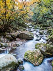 米倉山古棧道