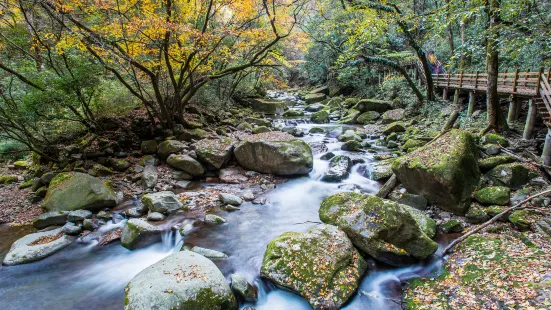 米倉山古棧道