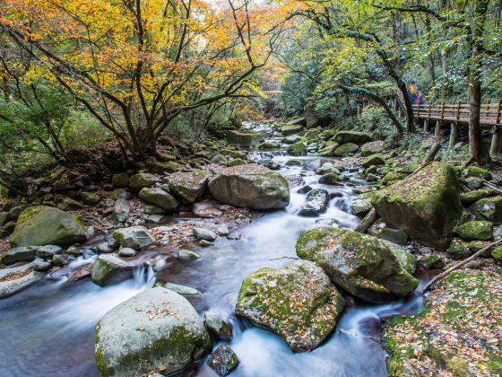 米倉山古棧道