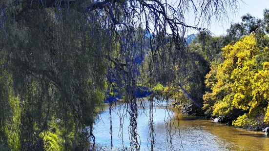 貝爾格雷夫湖公園