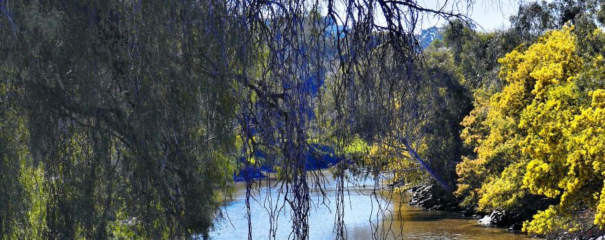 Belgrave Lake Park